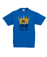 Детска тениска Рожден ден Mr ONE derful