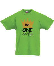 Детска тениска Рожден ден Mr ONE derful