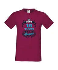 Мъжка тениска 18 years of being awesome