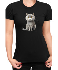 Дамска Тениска Funny Cats Breeds British Shorthair 1