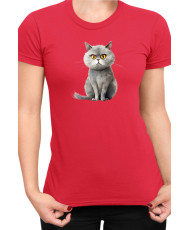 Дамска Тениска Funny Cats Breeds British Shorthair 1