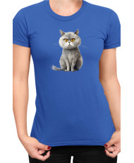 Дамска Тениска Funny Cats Breeds British Shorthair 1