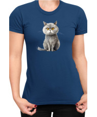 Дамска Тениска Funny Cats Breeds British Shorthair 1