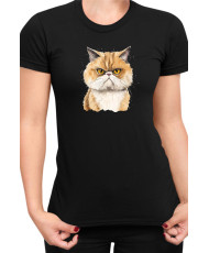 Дамска Тениска Funny Cats Breeds Exotic Shorthair