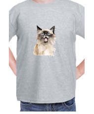 Детска Тениска Funny Cats Breeds Birman 2