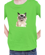 Детска Тениска Funny Cats Breeds Birman 2