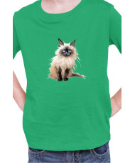 Детска Тениска Funny Cats Breeds Birman 3