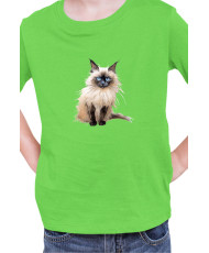 Детска Тениска Funny Cats Breeds Birman 3