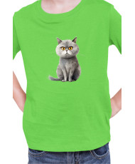 Детска Тениска Funny Cats Breeds British Shorthair 1