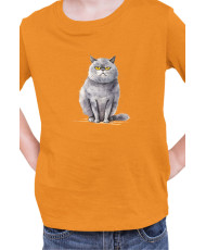 Детска Тениска Funny Cats Breeds British Shorthair 2