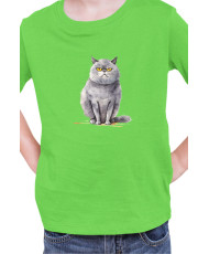 Детска Тениска Funny Cats Breeds British Shorthair 2