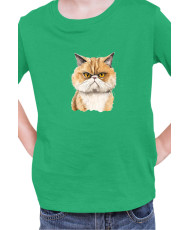 Детска Тениска Funny Cats Breeds Exotic Shorthair