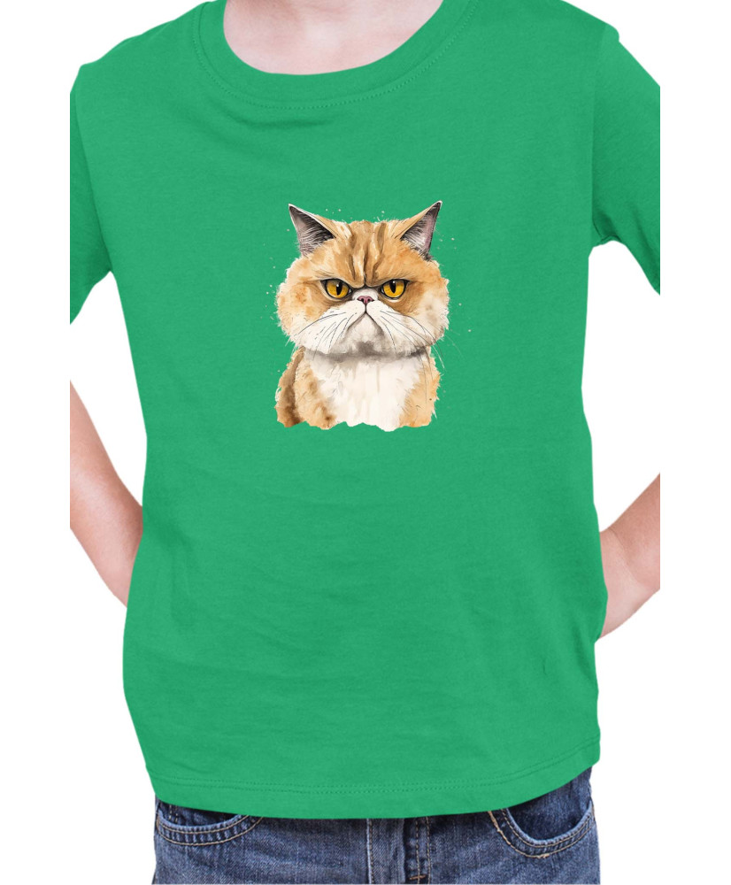 Детска Тениска Funny Cats Breeds Exotic Shorthair