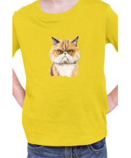 Детска Тениска Funny Cats Breeds Exotic Shorthair