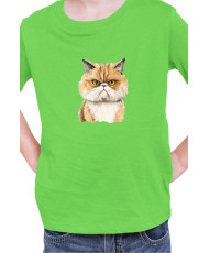 Детска Тениска Funny Cats Breeds Exotic Shorthair