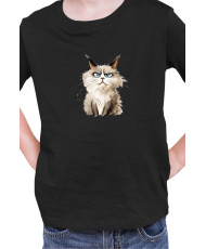 Детска Тениска Funny Cats Breeds Ragdoll