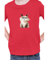 Детска Тениска Funny Cats Breeds Ragdoll