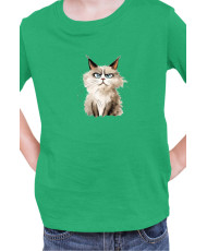 Детска Тениска Funny Cats Breeds Ragdoll