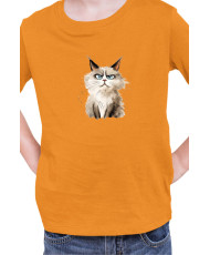 Детска Тениска Funny Cats Breeds Ragdoll
