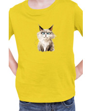 Детска Тениска Funny Cats Breeds Ragdoll