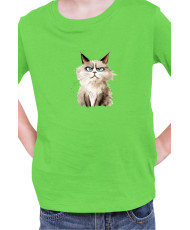 Детска Тениска Funny Cats Breeds Ragdoll