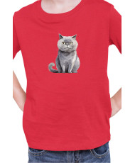 Детска Тениска Funny Cats Breeds Scottish Straight