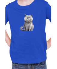 Детска Тениска Funny Cats Breeds Scottish Straight