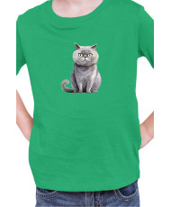 Детска Тениска Funny Cats Breeds Scottish Straight