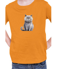 Детска Тениска Funny Cats Breeds Scottish Straight