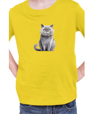 Детска Тениска Funny Cats Breeds Scottish Straight
