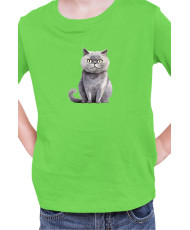 Детска Тениска Funny Cats Breeds Scottish Straight