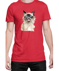 Мъжка Тениска Funny Cats Breeds Birman 2