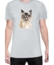 Мъжка Тениска Funny Cats Breeds Birman 2