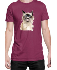 Мъжка Тениска Funny Cats Breeds Birman 2