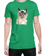 Мъжка Тениска Funny Cats Breeds Birman 2