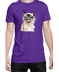 Мъжка Тениска Funny Cats Breeds Birman 2