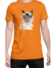 Мъжка Тениска Funny Cats Breeds Birman 2
