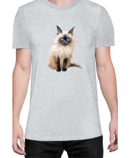 Мъжка Тениска Funny Cats Breeds Birman 3