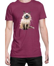 Мъжка Тениска Funny Cats Breeds Birman 3
