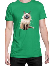 Мъжка Тениска Funny Cats Breeds Birman 3