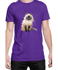 Мъжка Тениска Funny Cats Breeds Birman 3