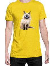 Мъжка Тениска Funny Cats Breeds Birman 3