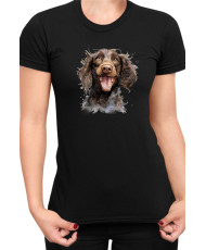 Дамска Тениска Funny Dogs Breeds American Water Spaniel 01