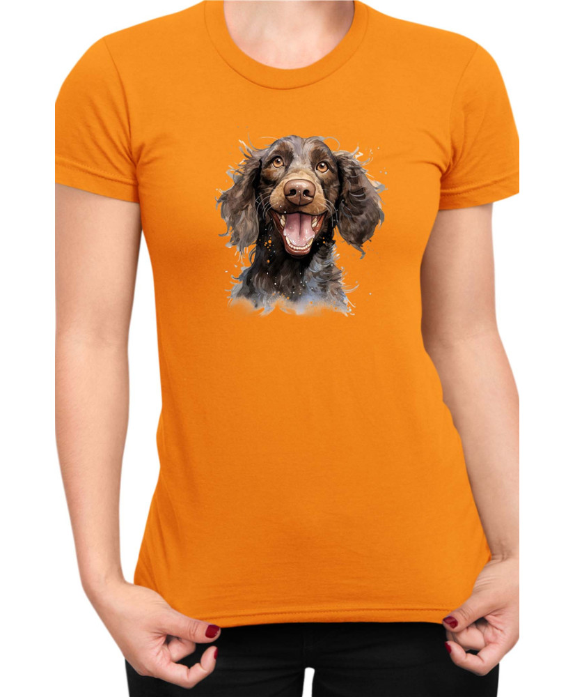 Дамска Тениска Funny Dogs Breeds American Water Spaniel 01
