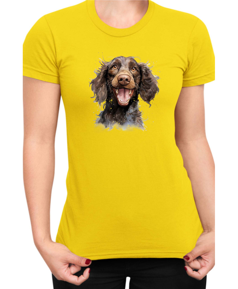 Дамска Тениска Funny Dogs Breeds American Water Spaniel 01