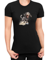 Дамска Тениска Funny Dogs Breeds American Water Spaniel 02