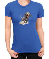 Дамска Тениска Funny Dogs Breeds American Water Spaniel 02