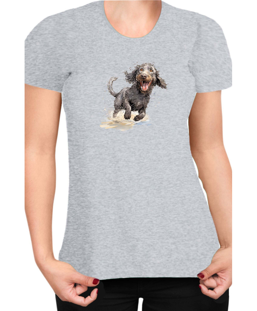 Дамска Тениска Funny Dogs Breeds American Water Spaniel 02
