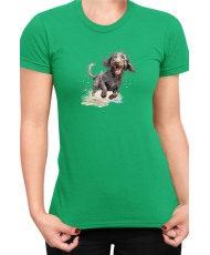 Дамска Тениска Funny Dogs Breeds American Water Spaniel 02