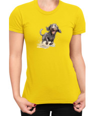 Дамска Тениска Funny Dogs Breeds American Water Spaniel 02